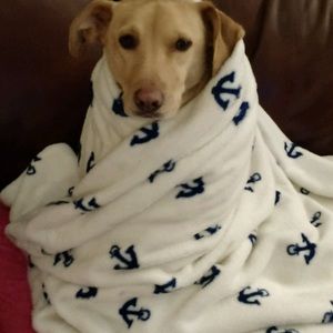 Meet your Posher, Cathy